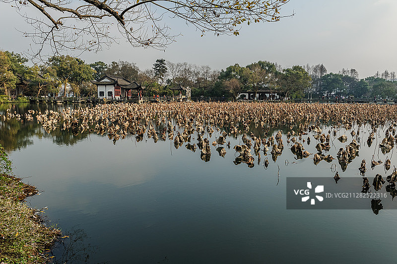 《冬日小瀛洲》之一图片素材