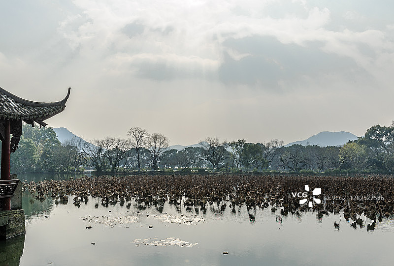《冬日小瀛洲》之二图片素材