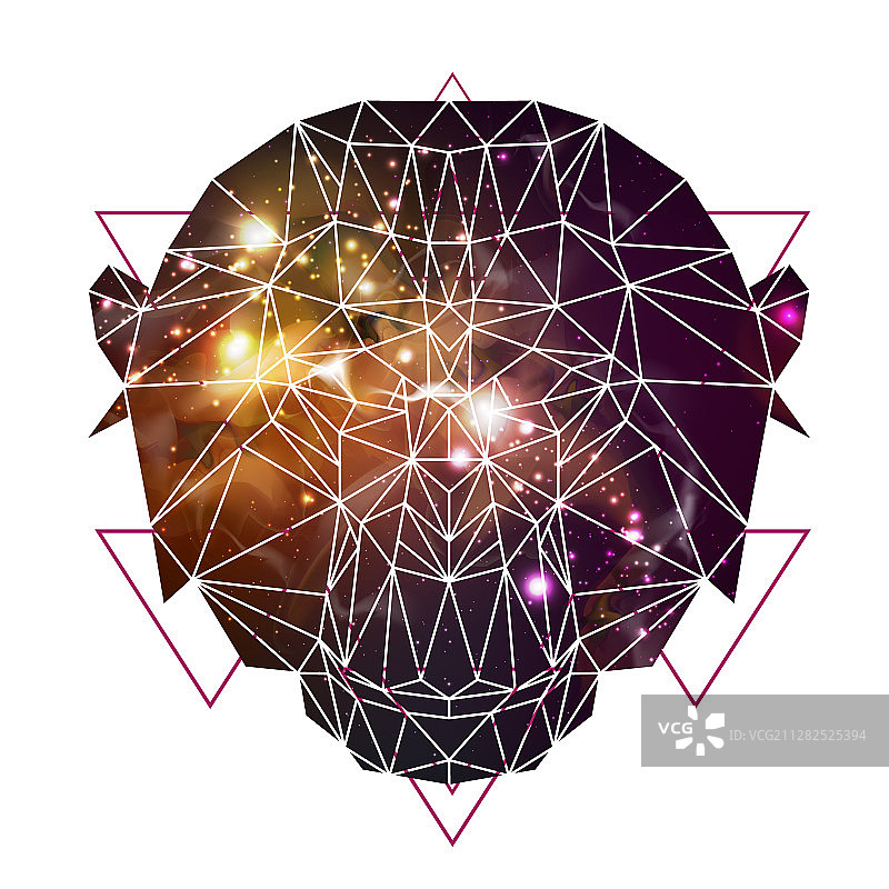 抽象多边形动物猴子图片素材