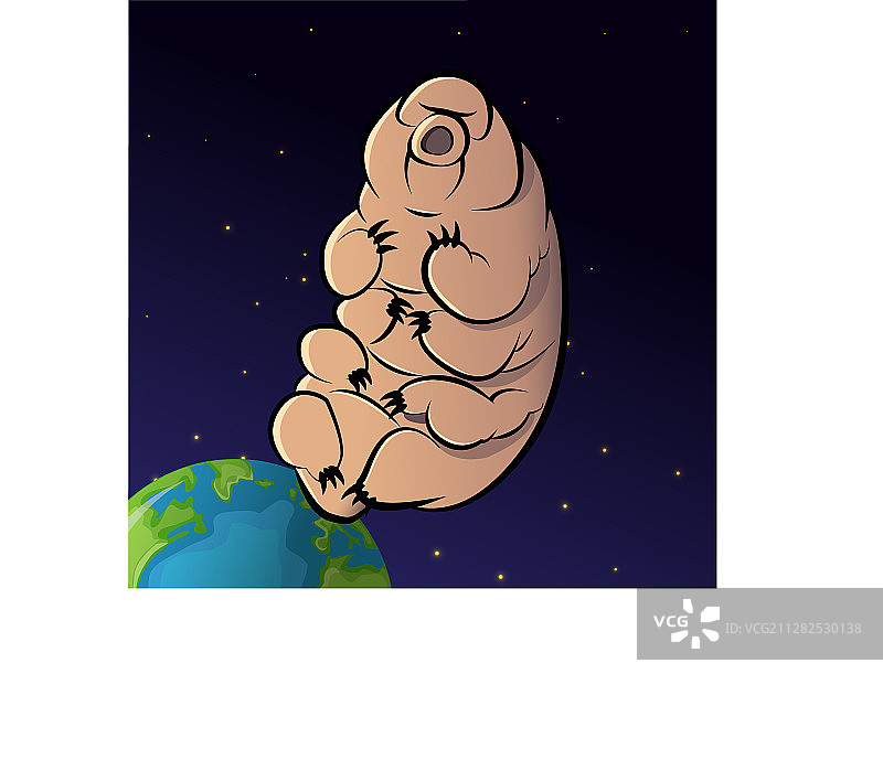 水熊虫在太空图片素材
