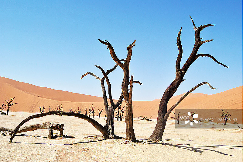 纳米比亚死亡谷图片素材