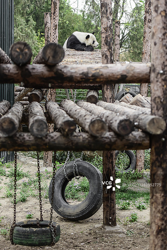 西直门/动物园 北京图片素材