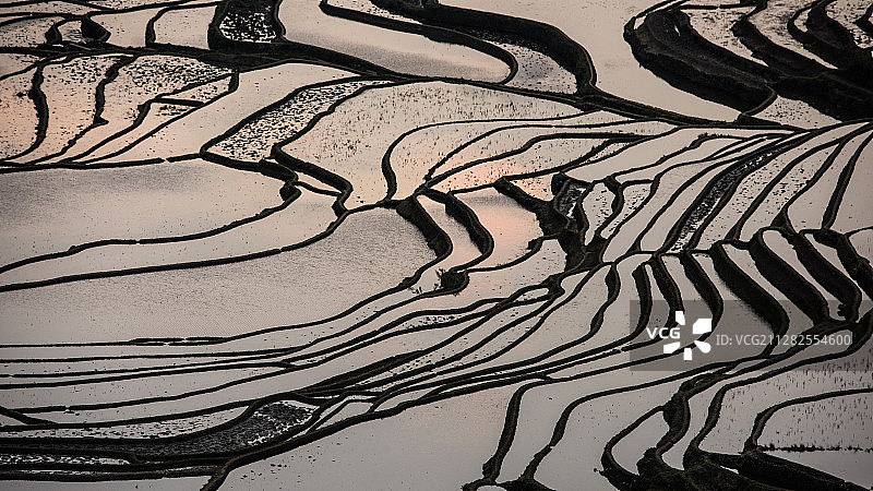 元阳梯田，最美的时光图片素材