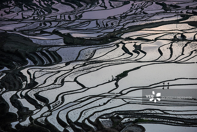元阳梯田，最美的时光图片素材