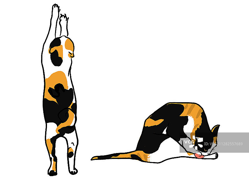 手绘钢笔涂鸦猫的姿态插图图片素材