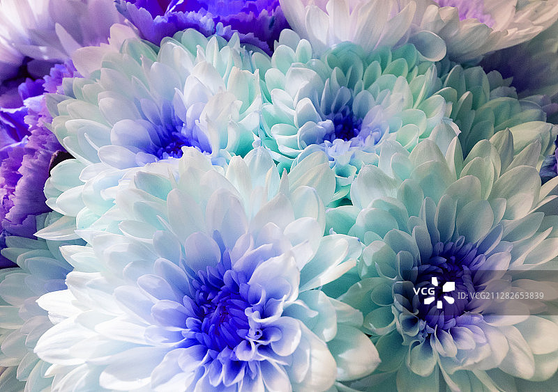 一束花图片素材