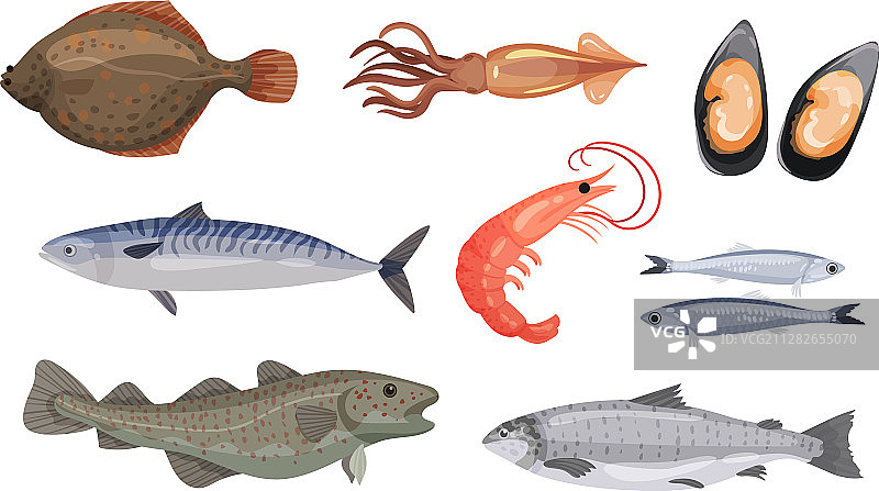 新鲜海产海鲜食材图片素材