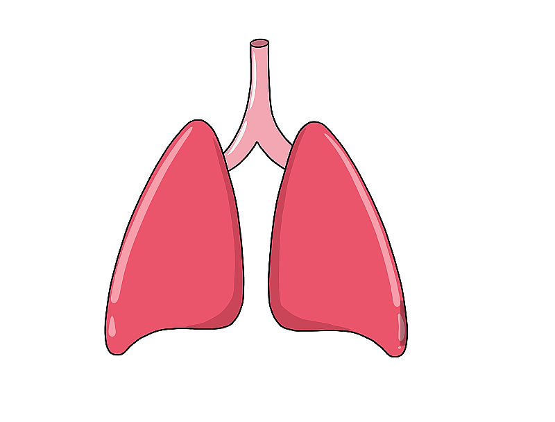 元素：肺部健康图片素材