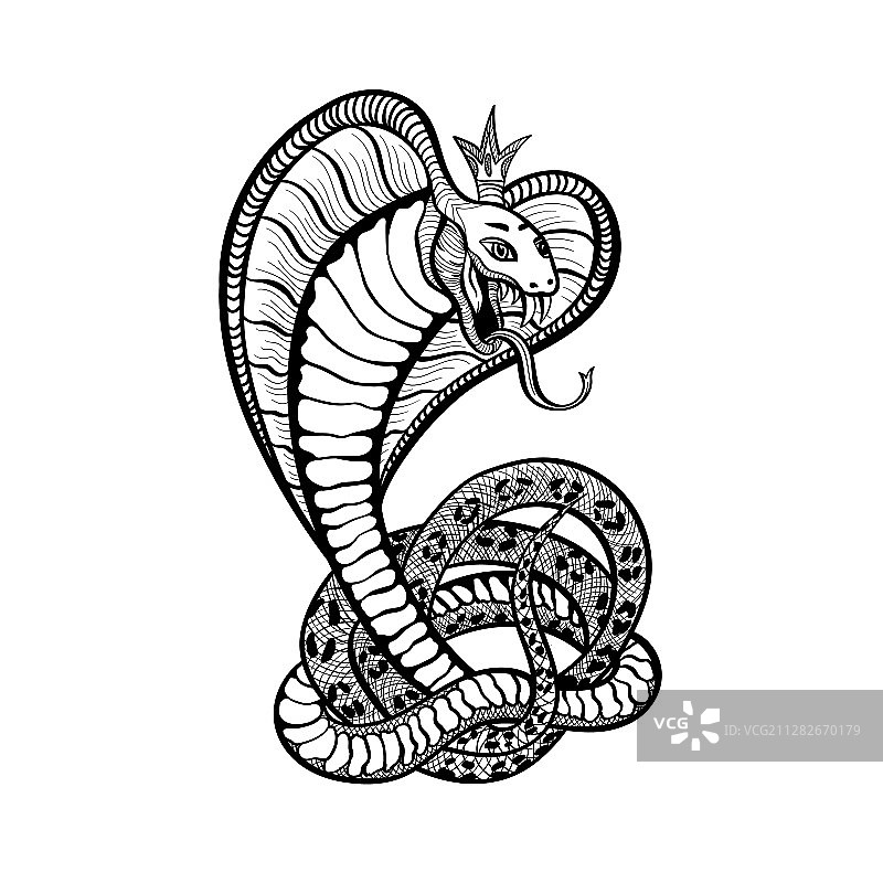 皇冠眼镜蛇纹身艺术设计图片素材