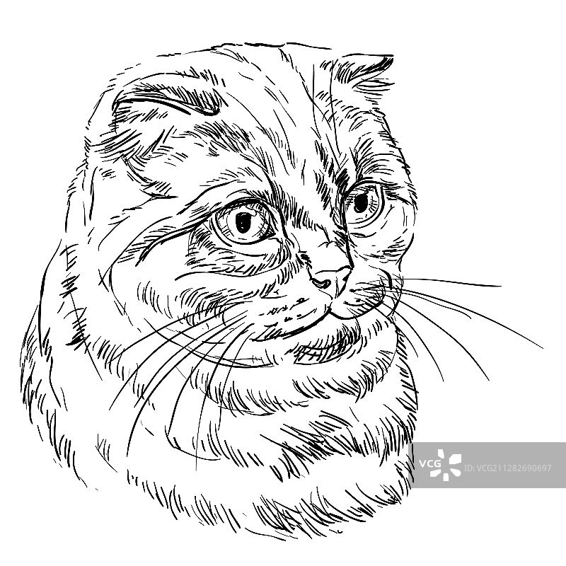 手绘卡通猫咪9图片素材