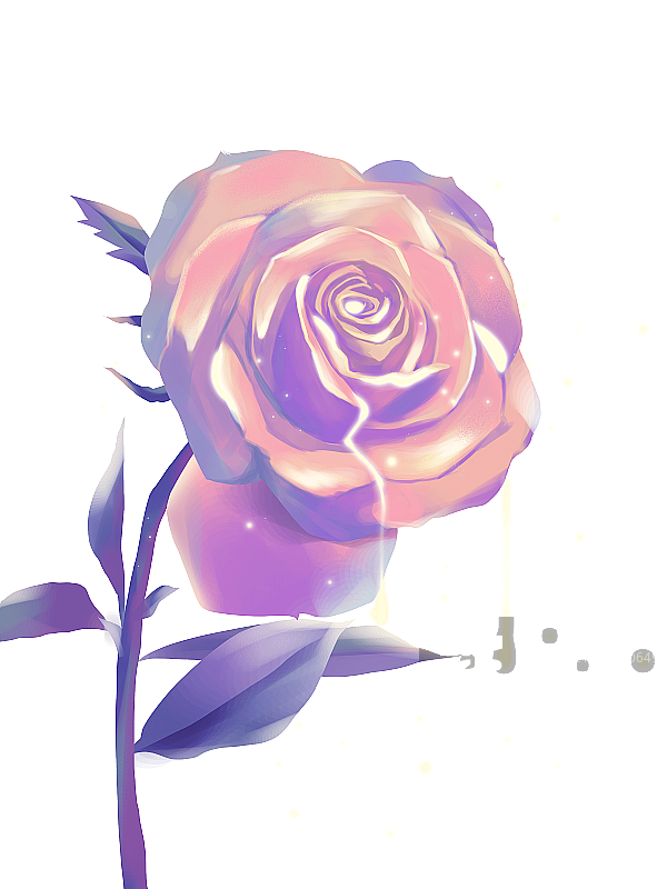 玫瑰花图片素材