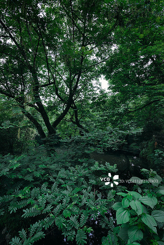 浙江杭州钱塘江西湖灵隐寺春天森林城市风光图片素材