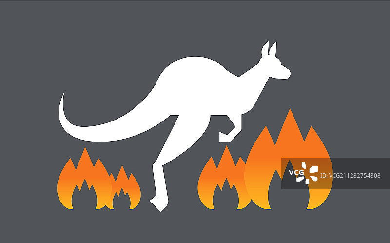 袋鼠逃离森林火灾图片素材