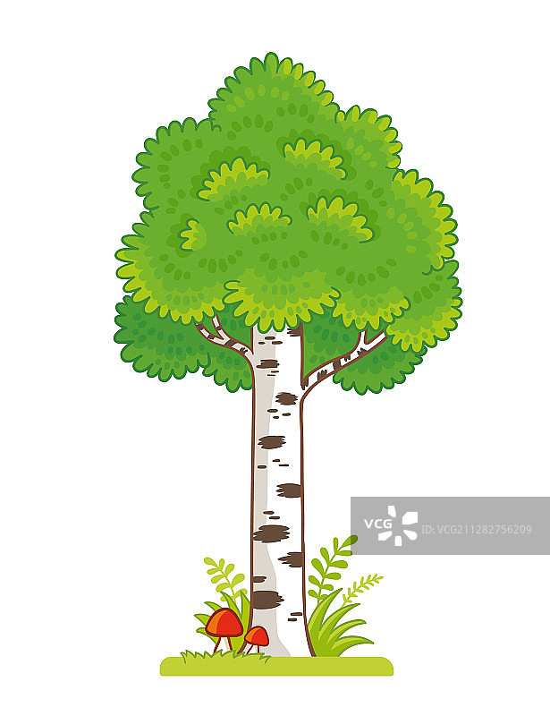 桦树林空地上的一棵白桦树和蘑菇图片素材