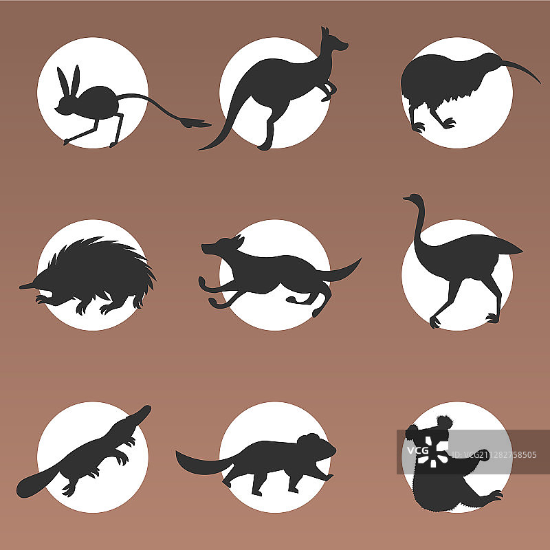 卡通濒危澳大利亚野生动物套装图片素材