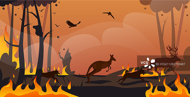 澳大利亚动物剪影奔跑图片素材