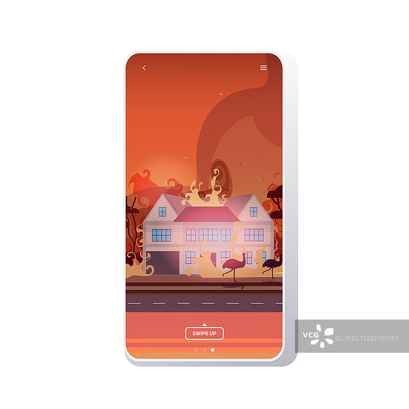 澳大利亚动物逃离森林火灾图片素材