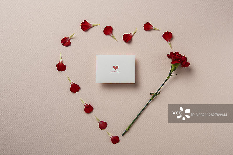 信件和康乃馨装饰摄影图片素材