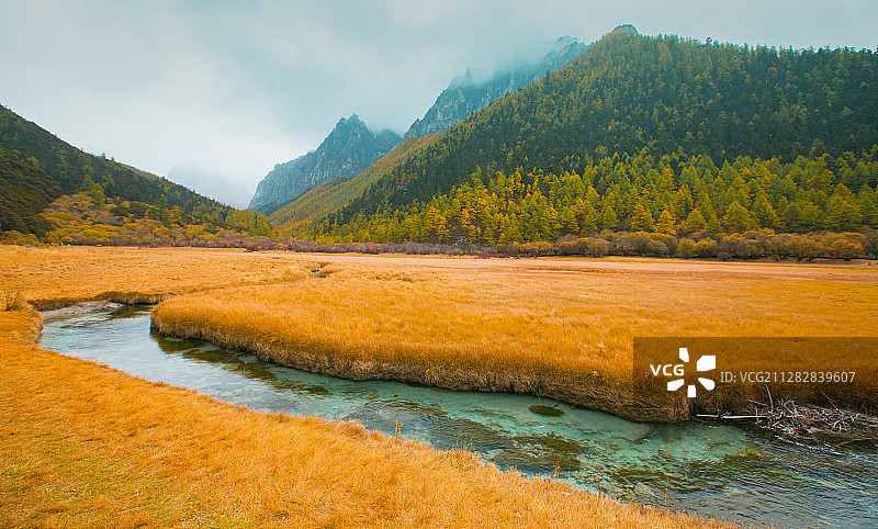 高山草甸图片素材