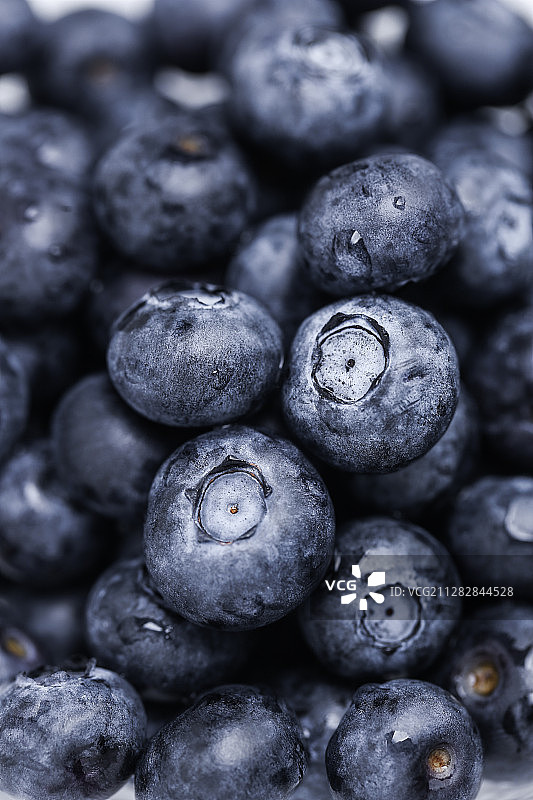 新鲜的蓝莓图片素材