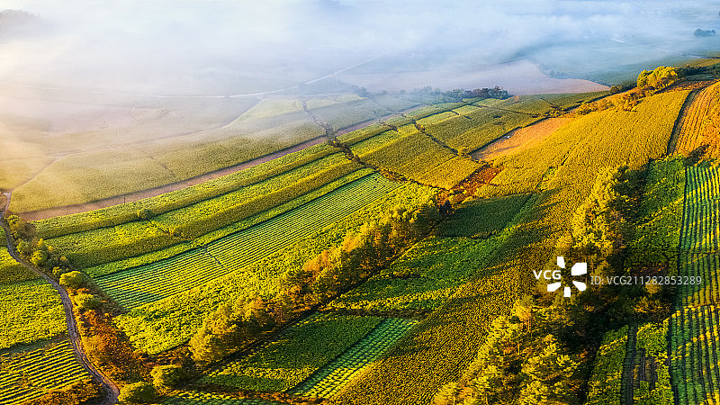 美不胜收的安图金秋图片素材