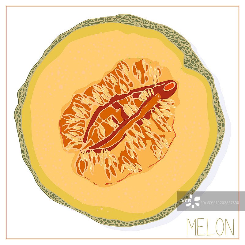 甜瓜切片剪影孤立绘画水果图片素材