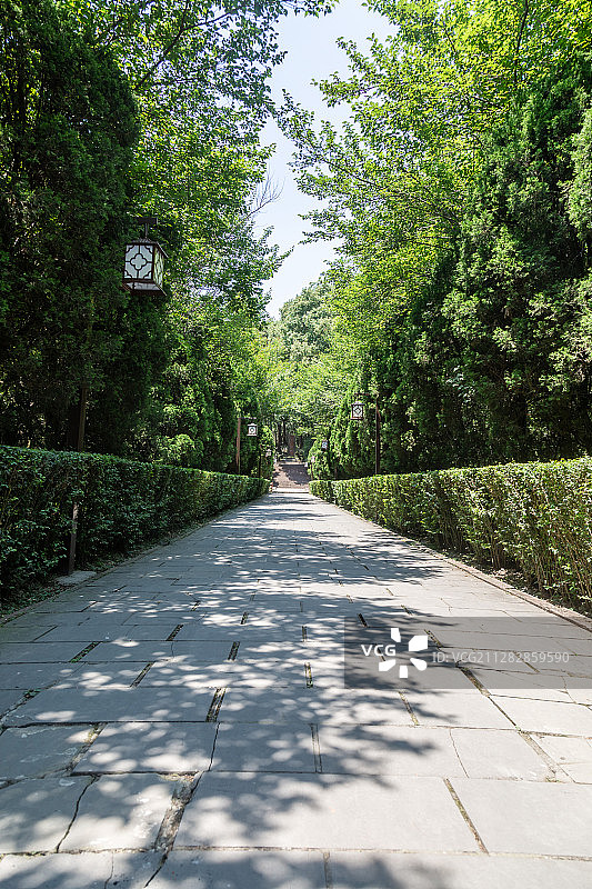 四川成都郫都区古望丛祠景区望帝陵前的林荫大道图片素材
