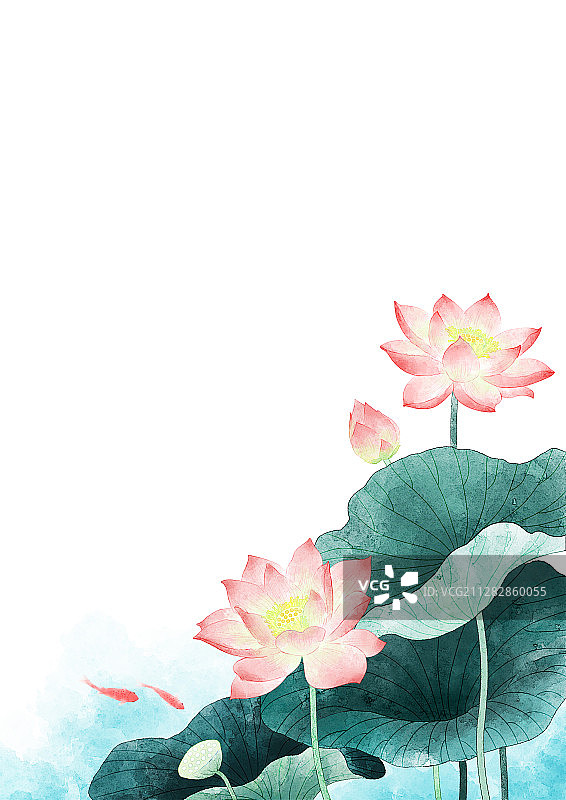 荷花锦鲤图图片素材