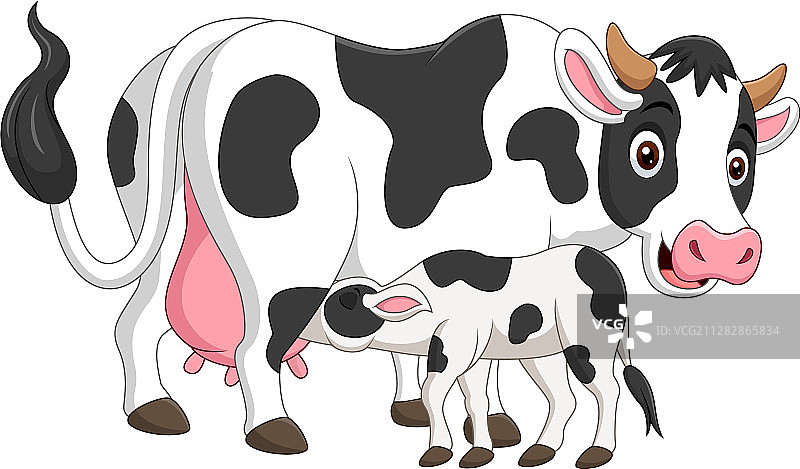卡通母牛喂养小牛图片素材