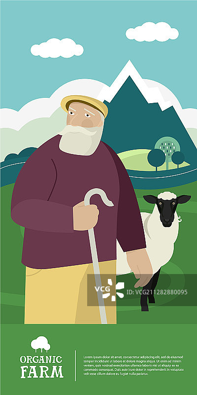 今日农业：年长的牧羊人正在放羊图片素材