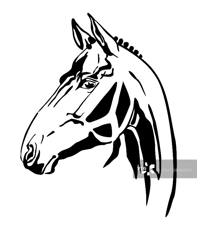 装饰马匹图片素材