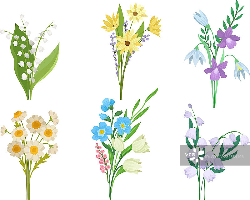 花园里的春季花卉图片素材