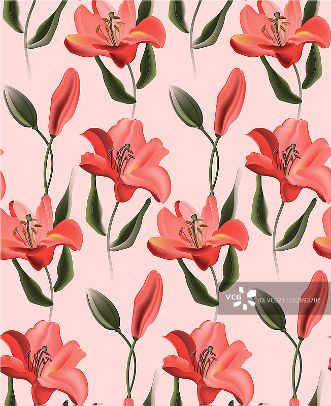 红色马蹄莲或对比鲜明的郁金香图片素材