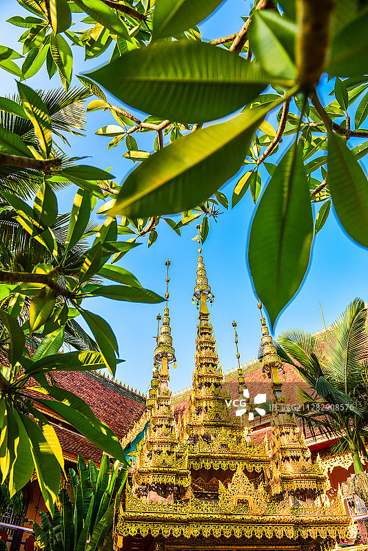 西双版纳，雨林中的生灵与敬仰图片素材