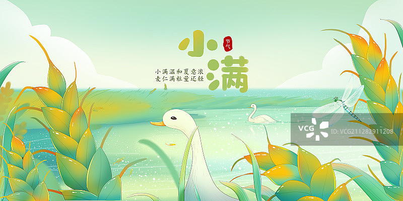 小满横版图片素材