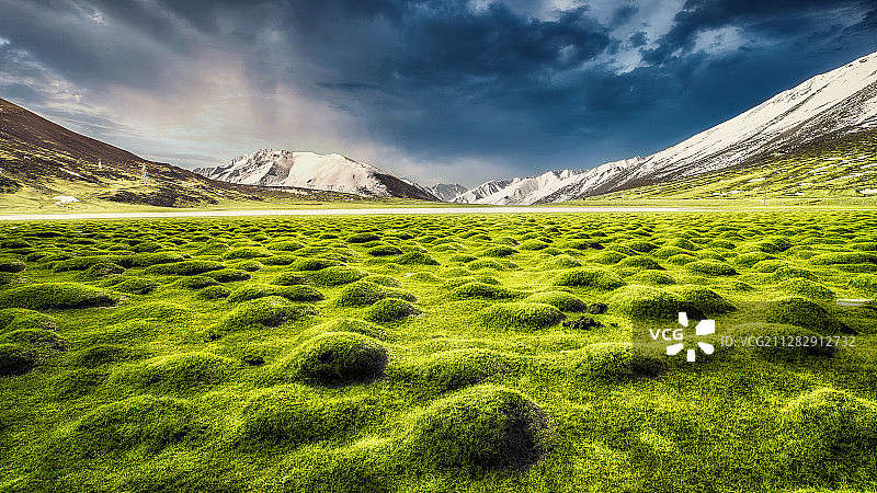 安久拉山高山草甸图片素材