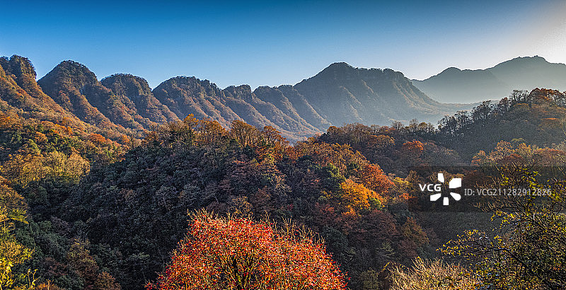 光雾山秋色图片素材