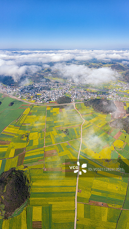 罗平油菜花海云海和航拍全景图片素材