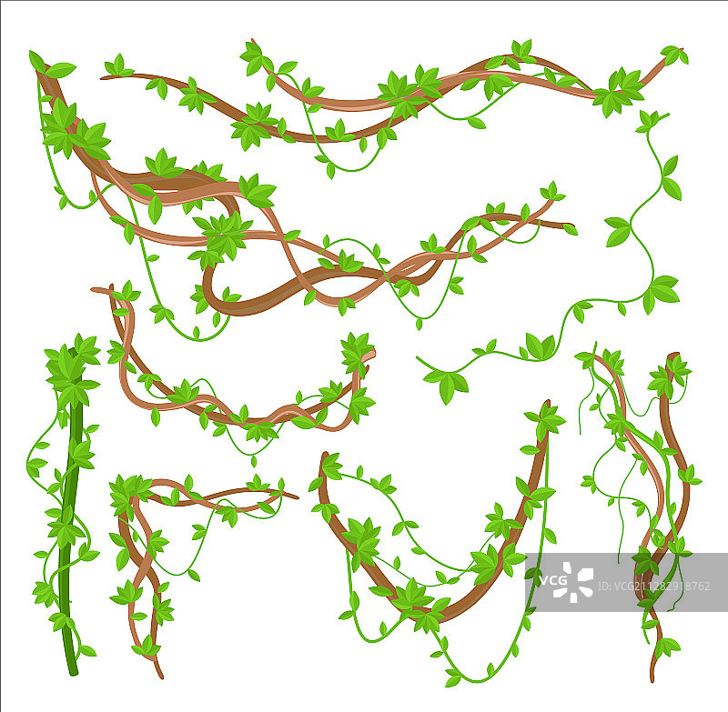 绿色藤蔓植物图片素材