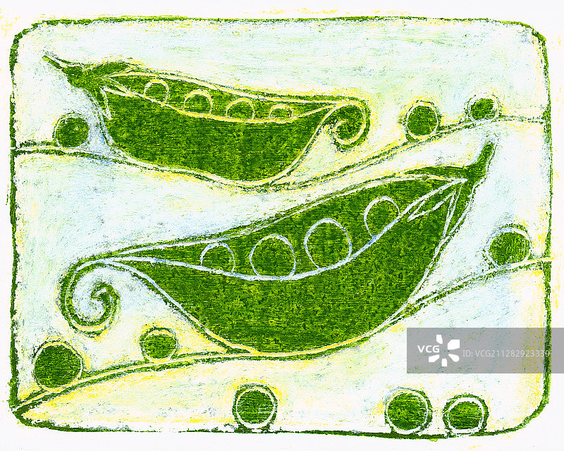两荚绿色豌豆图片素材