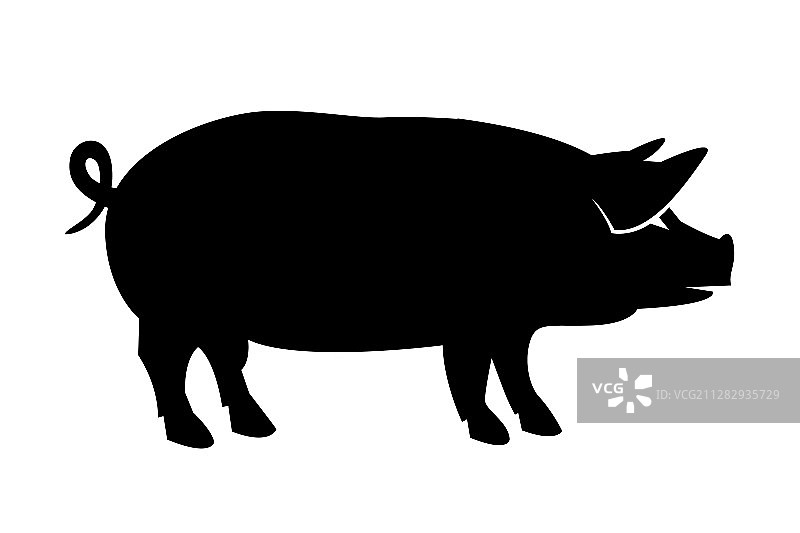 小猪剪影图片素材