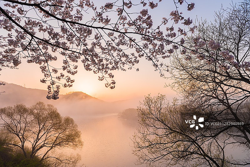 湖畔晨曲图片素材