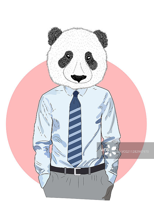 穿衬衫、裤子和领带的熊猫素描图片素材