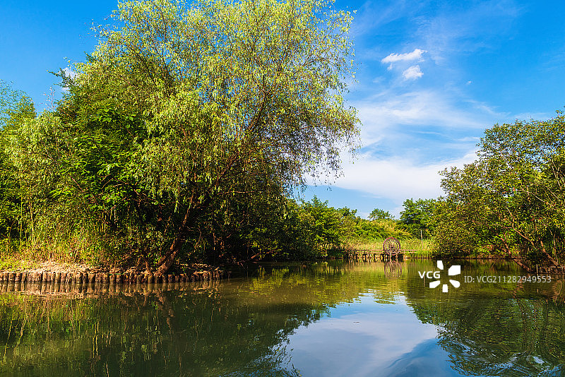 杭州西溪湿地风光图片素材
