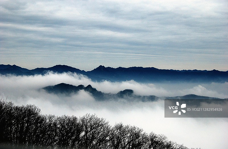 秦岭牛背梁云海图片素材