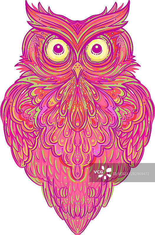 可爱的抽象猫头鹰和迷幻华丽图案图片素材