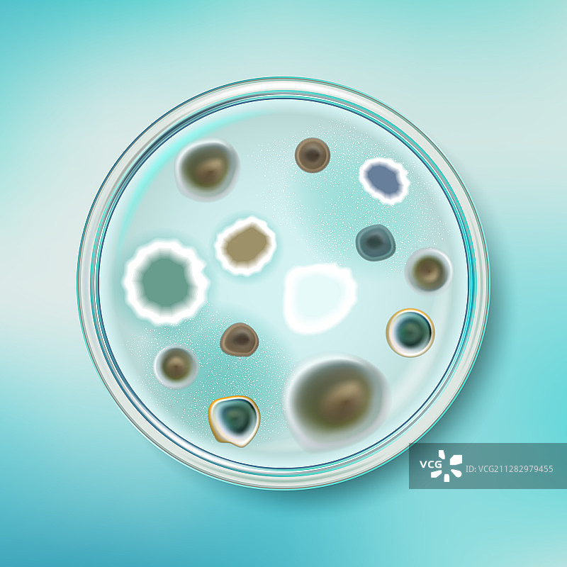 带霉菌的培养皿图片素材