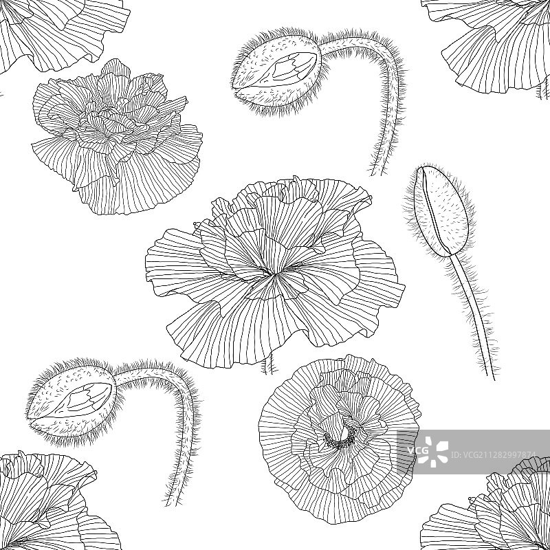 黑白罂粟花无缝图案图片素材