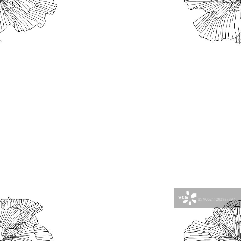 黑白罂粟花无缝图案图片素材