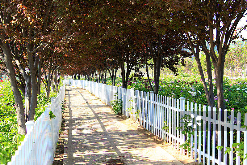 宁静无人的小路上图片素材